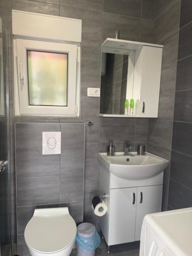 a bathroom with a toilet and a sink and a mirror at Ostojic lux apartman in Kotor