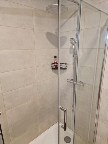 a shower with a glass door in a bathroom at 4 Seasons studio in Marinha das Ondas