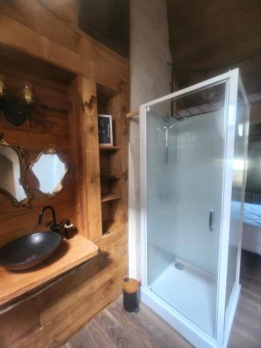a bathroom with a glass shower with a sink at Le Logis du Martray, maison historique in Lamballe Armor