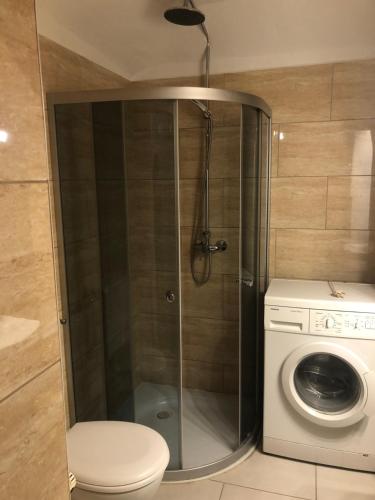 a shower in a bathroom with a toilet and a washing machine at Rosenwohnung in Neustrelitz