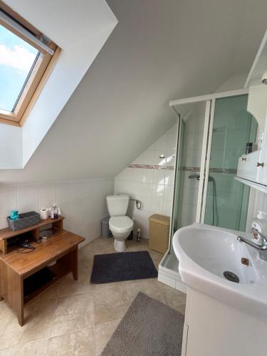 a bathroom with a toilet and a sink and a shower at Ubytovanie pri lese a vode in Hamuliakovo