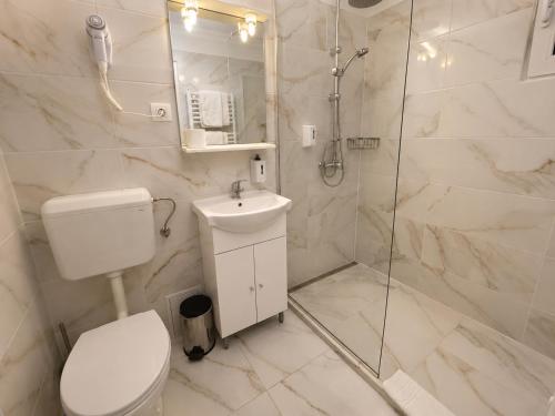 a bathroom with a shower and a toilet and a sink at Pensiunea Alexander in Arad