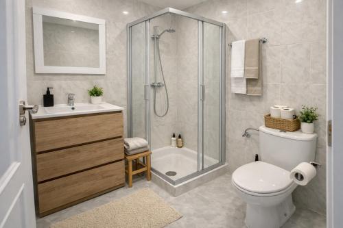 a bathroom with a shower and a toilet and a sink at La Casa de los Inventos in Burgos