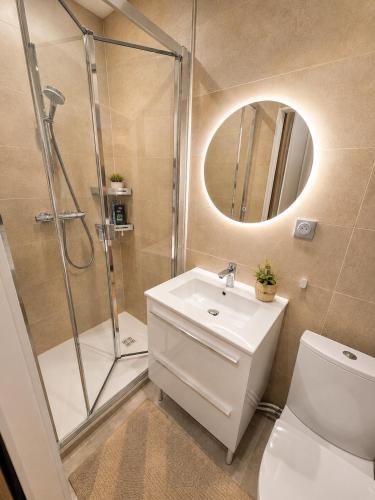 a bathroom with a shower and a toilet and a sink at L'Escale Strasbourgeoise climatisée in Strasbourg