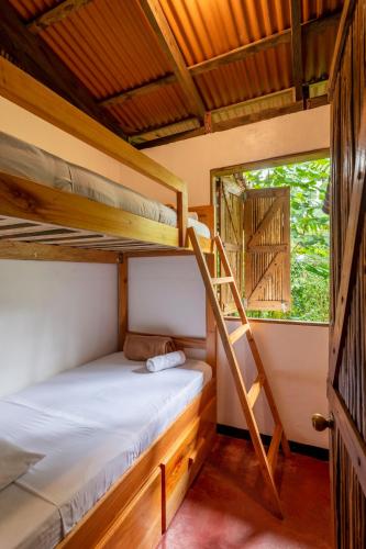 a room with bunk beds and a ladder at Rancho Margot Sustainable & Self Sufficient Eco Lodge in El Castillo de La Fortuna