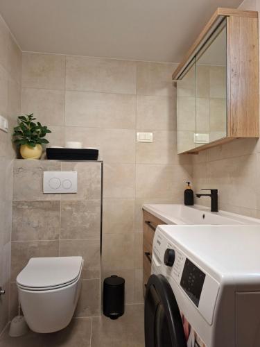 a small bathroom with a toilet and a sink at Vacation home, Ferienhaus KLAUDIA in Kraj, Mošćenička Draga near Opatija in Mošćenička Draga