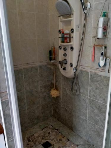 a shower with a shower head in a bathroom at L'ABREUVOIR chez l'habitant 1 Chambre d'hôtes lit 140 et 1chambre d'hôtes 2 lits 90 in Surgères