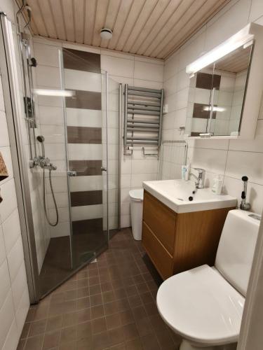 a bathroom with a toilet and a sink and a shower at Room Sonaatti in Savonlinna