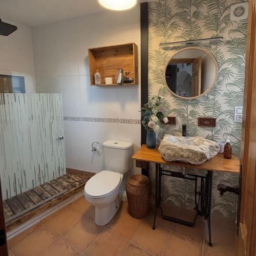a bathroom with a toilet and a sink and a mirror at Casa rural en Buendía -la Galera con 4 dormitorios in Buendía