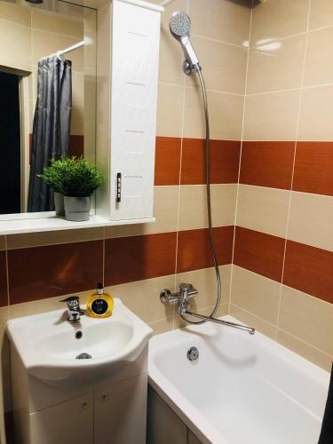 a bathroom with a sink and a shower at Apartment VV in Volodymyr-Volynskyi