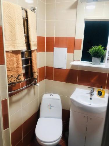 a bathroom with a toilet and a sink at Apartment VV in Volodymyr-Volynskyi