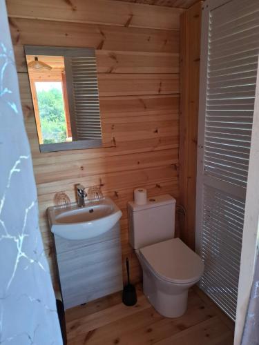 a bathroom with a toilet and a sink and a mirror at Cedre bleu in Saint-Racho