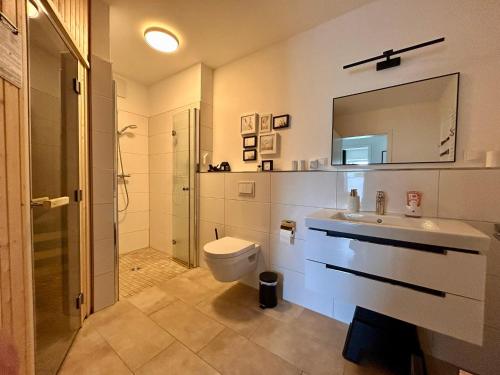 a bathroom with a toilet and a sink and a shower at Vinkennest am Diemelsee - Sonnenweg 44 1 VN in Diemelsee