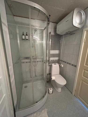 a bathroom with a shower and a toilet at Bockekulla Gård in Bergkvara