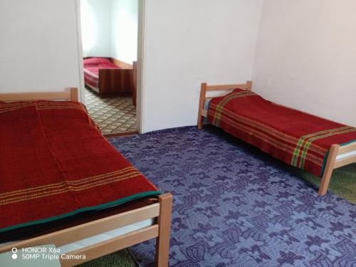 two beds sitting in a room with a purple carpet at Djedova nova kuca in Žabljak