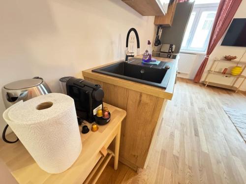Kunstvoll Wohnen im Herzen Wiens l HG16