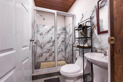 a bathroom with a shower and a toilet and a sink at Apartamentos Javi in Tela