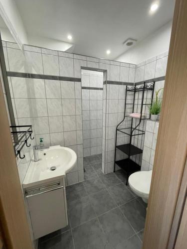 a bathroom with a sink and a toilet at Ferienhaus Calle in Bücken