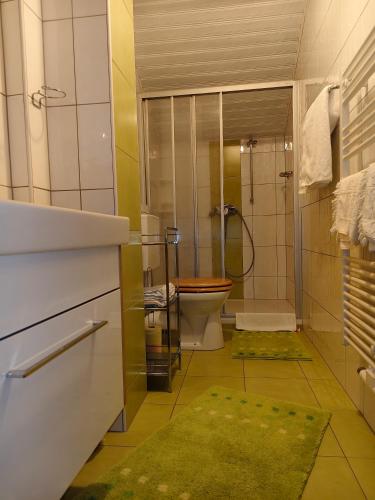 a bathroom with a toilet and a shower at Blumenpension Strauss - Ferienwohnungen in Ossiach