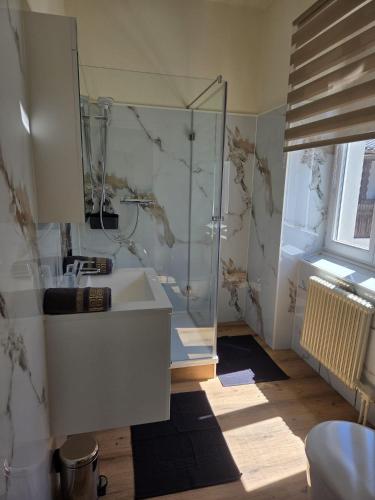 a bathroom with a sink and a glass shower at Pension Grum in Arnoldstein