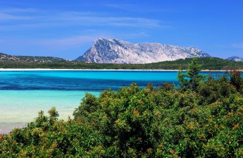 Gallery image of Le Tre Querce in San Teodoro