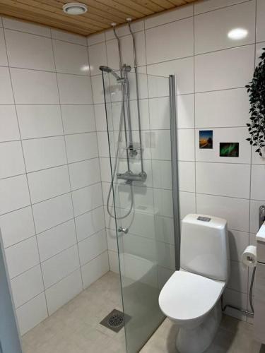 a bathroom with a toilet and a glass shower at Lapland home in Rovaniemi