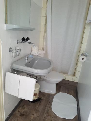 a white bathroom with a toilet and a sink at Ambiente in Emmetten in Emmetten