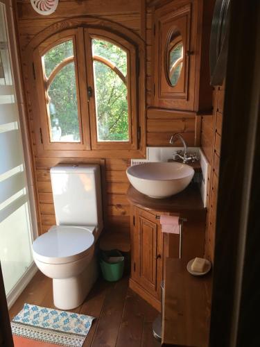 a bathroom with a toilet and a sink at La Roulotte du Fier in Annecy
