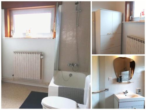 a bathroom with a shower and a toilet and a sink at La Doudou Maison à louer in Mons