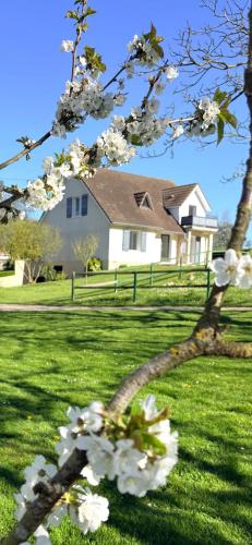 a tree with white flowers in front of a house at Mon calme in Arques-la-Bataille