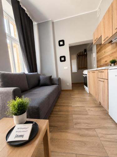 a living room with a couch and a table at MieszkaStreet kawalerka in Gniezno