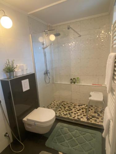 a bathroom with a toilet and a bath tub at Holiday Home Ilidza Ella in Sarajevo
