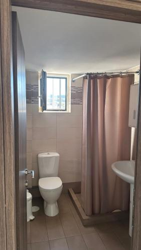 a bathroom with a toilet and a shower curtain at Niko's apartments 1 in Elafonisos