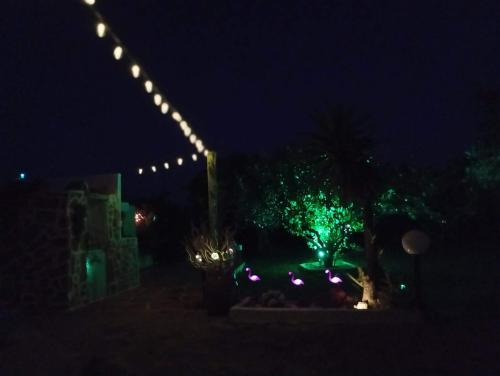 a house with green lights on a tree at night at MANOS Small House Kouremenos in Palekastron