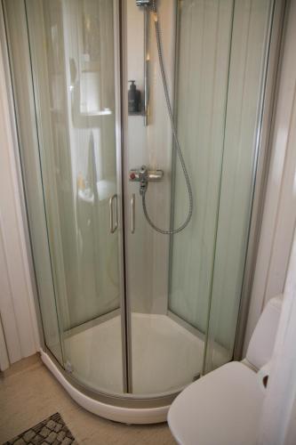 a shower with a glass door in a bathroom at Erkin Haussi in Ilmajoki