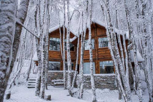a log cabin in the woods covered in snow at Patagonia Villa in Ushuaia
