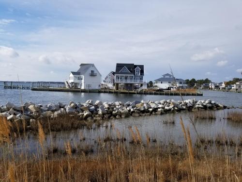 a flock of birds sitting on a dock in the water at Gallops Point in Greenbackville