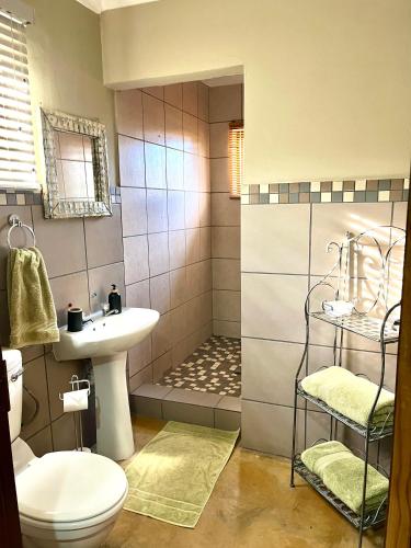 a bathroom with a toilet a sink and a shower at Ruby Granatum in Cerillio