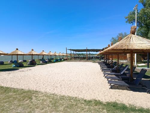 a beach with a bunch of umbrellas and chairs at RB Apartment 1 (SPA) & 2 in Palić