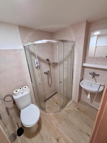 a bathroom with a shower and a toilet and a sink at Sporthostel Scandinavia in Prague