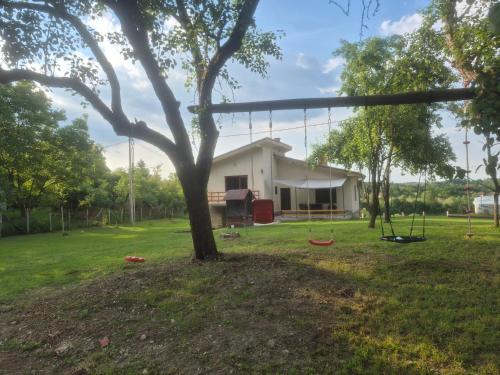 a house in the middle of a yard with a tree at Domacinstvo Pecina Petnica in Petnica