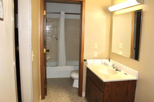 a bathroom with a sink and a toilet and a mirror at Colonial Inn in Dyersville