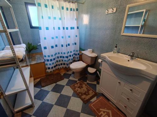 a bathroom with a sink and a toilet and a shower at Cabaña Aldea 31 in Coihaique