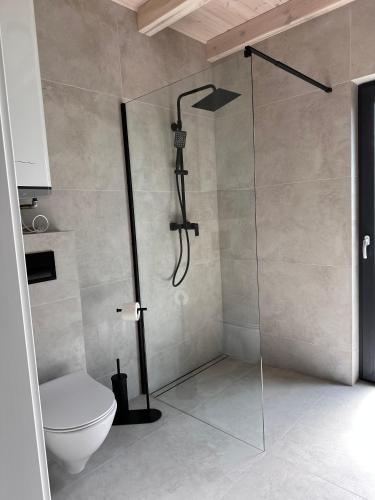 a bathroom with a shower with a toilet in it at Pięć Sosen in Wiele