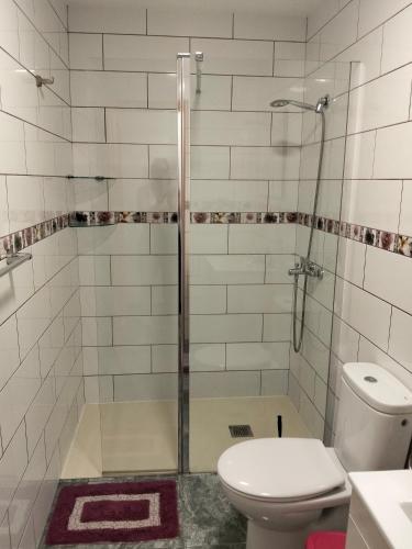 a bathroom with a toilet and a glass shower at Alojamientos Harizan in Agaete
