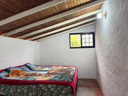 a bedroom with a bed in a room with a window at Cabaña destino 11 in Mérida