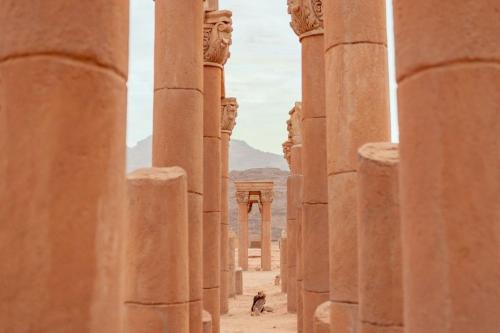 a dog walking through a row of columns at مخيم سياحي in Disah