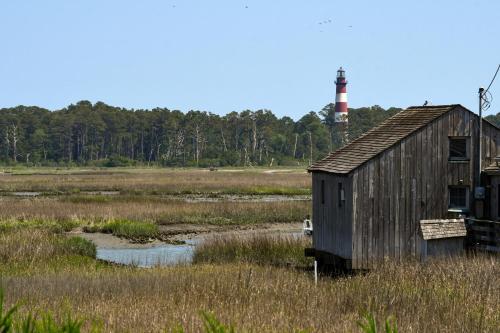 an old shack in a marsh with a lighthouse at Lighthouse Overlook in Birch Town