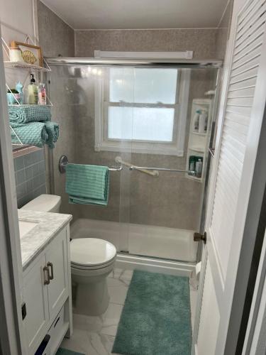 a bathroom with a shower with a toilet and a window at Artsy Oasis in Clearwater in Clearwater