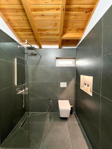 a bathroom with a toilet and a shower at Sunset Aura Riverside Villa & Pool in Draç